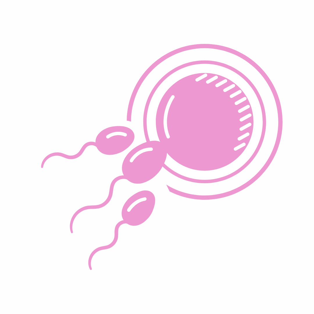 Click aquí para leer completo